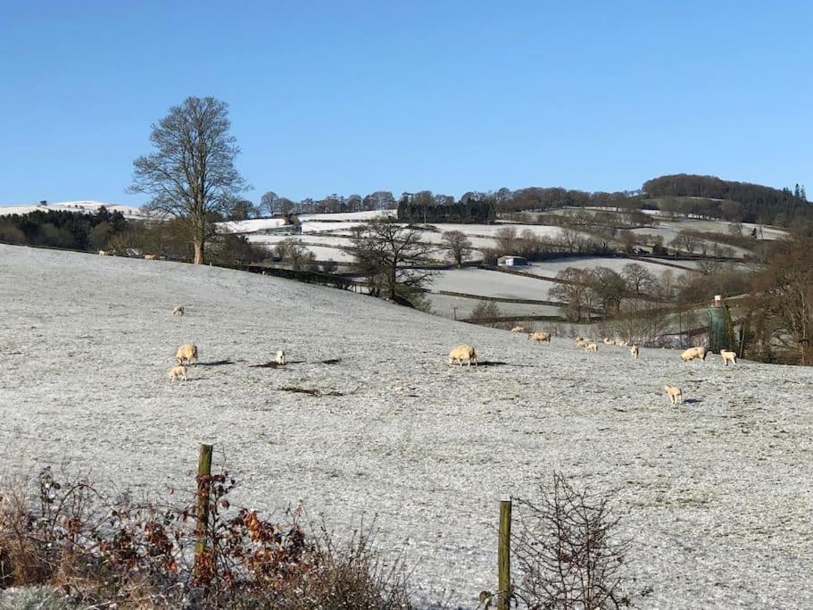 5F Stanley Lodge, Caer Beris, Builth Wells - No Tradesman ภายนอก รูปภาพ